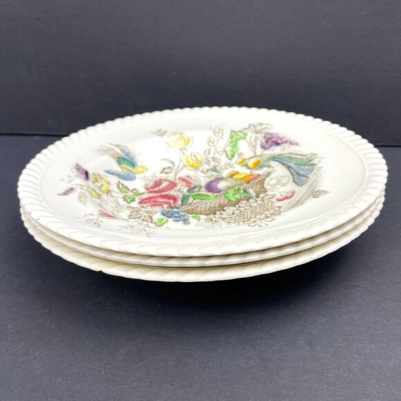 Vintage Set of 3 Johnson Brothers Bird of Paradise Rimmed Soup Bowl - Picture 2 of 11